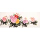 Peony - CNAG003899