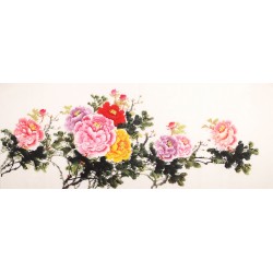 Peony - CNAG003899