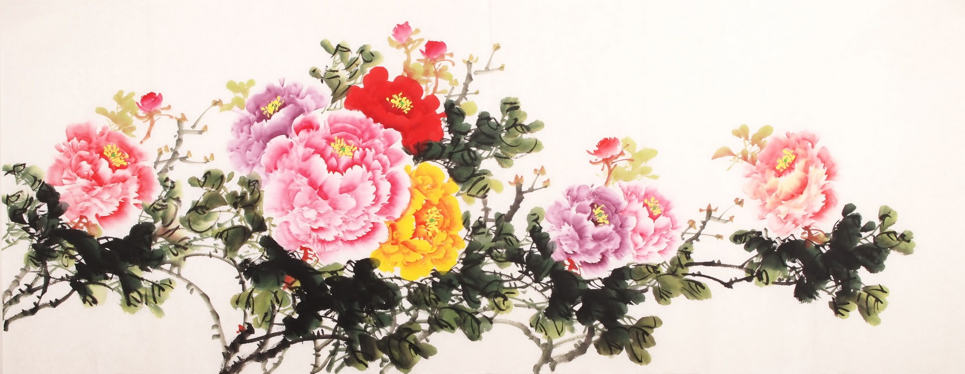 Peony - CNAG003899