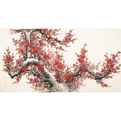Plum - CNAG003901