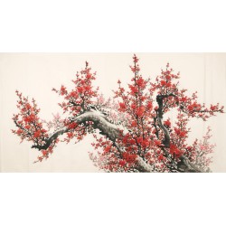 Plum - CNAG003902