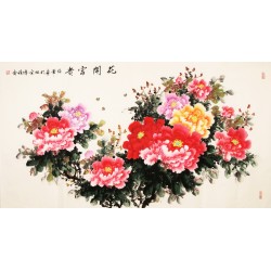 Peony - CNAG003903