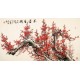Plum - CNAG003904