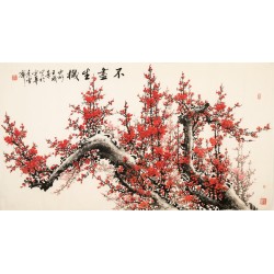 Plum - CNAG003904