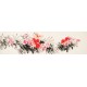 Peony - CNAG003907