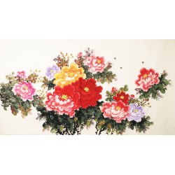 Peony - CNAG003911