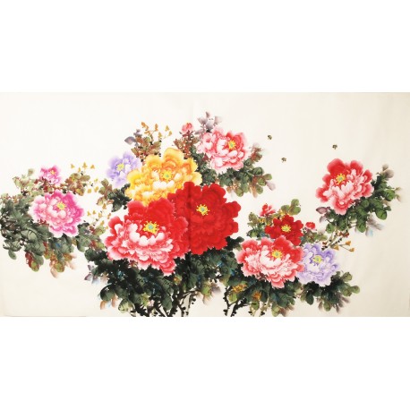 Peony - CNAG003911