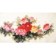 Peony - CNAG003913