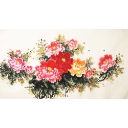 Peony - CNAG003913