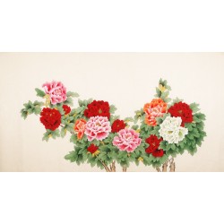 Peony - CNAG003914