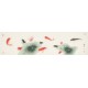 Fish - CNAG003915