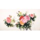 Peony - CNAG003920