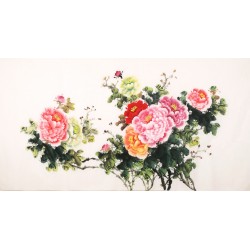 Peony - CNAG003920