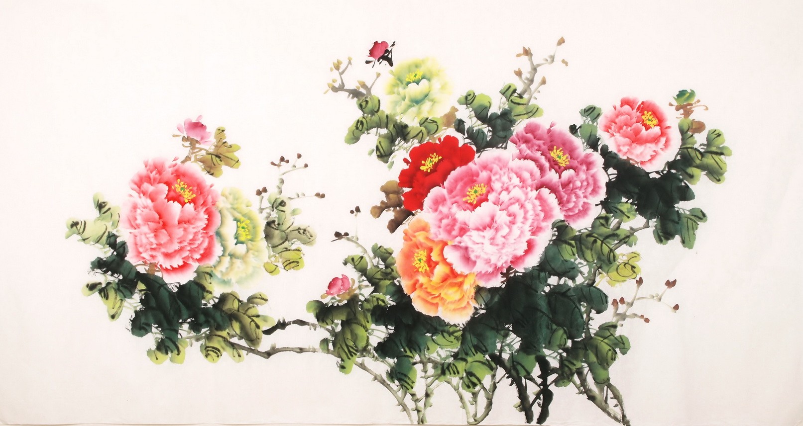 Peony - CNAG003920