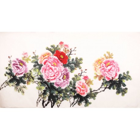 Peony - CNAG003921