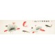 Fish - CNAG003923