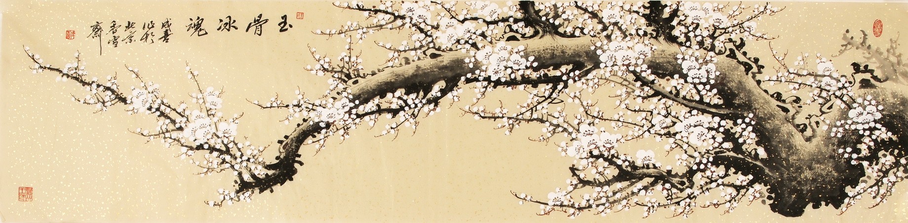 Plum - CNAG003925