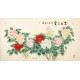 Peony - CNAG003927