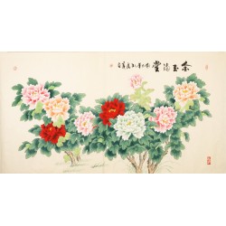 Peony - CNAG003927