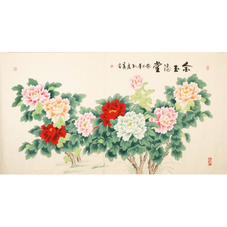 Peony - CNAG003927