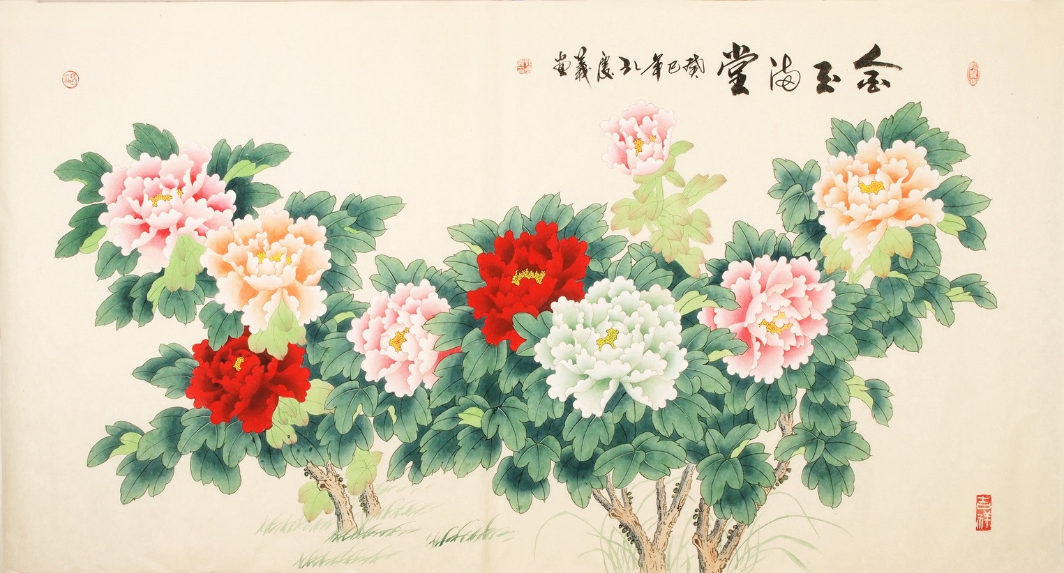 Peony - CNAG003927