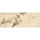Green Bamboo - CNAG003930
