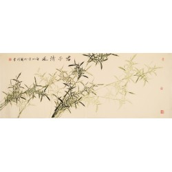 Green Bamboo - CNAG003930