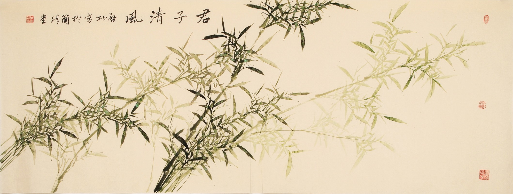 Green Bamboo - CNAG003930