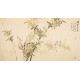 Bamboo - CNAG003932