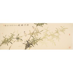 Bamboo - CNAG003933
