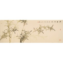 Bamboo - CNAG003934