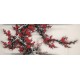 Plum - CNAG003936