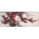 Plum - CNAG003937