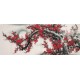 Plum - CNAG003938