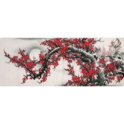 Plum - CNAG003938