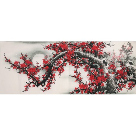 Plum - CNAG003938