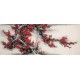 Plum - CNAG003939