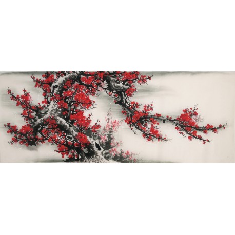 Plum - CNAG003939