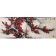 Plum - CNAG003940