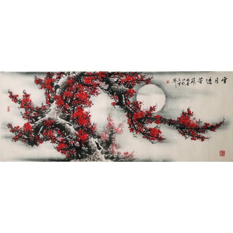 Plum - CNAG003940