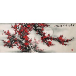 Plum - CNAG003941
