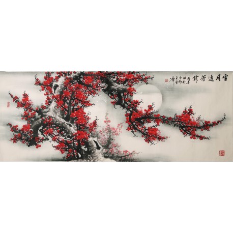 Plum - CNAG003941