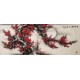 Plum - CNAG003942