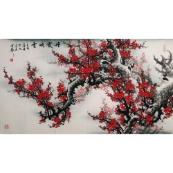 Plum - CNAG003958