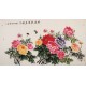 Peony - CNAG003959