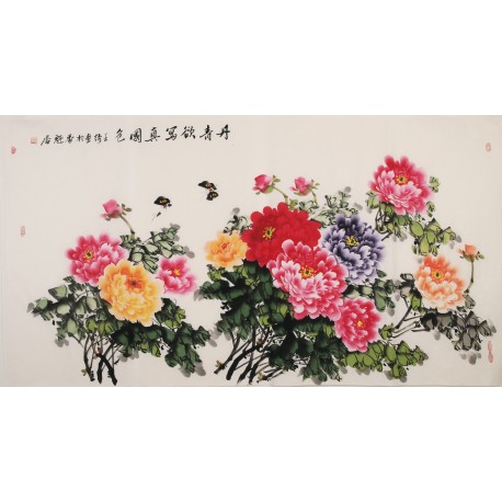 Peony - CNAG003959