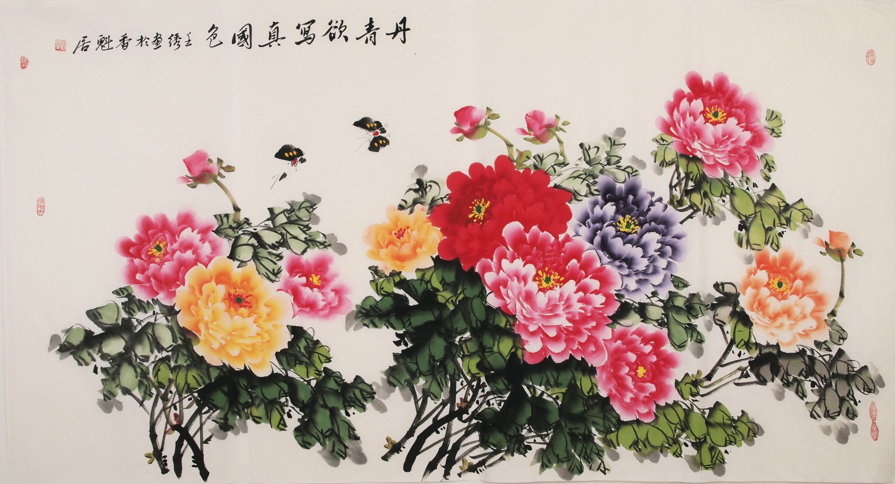 Peony - CNAG003959