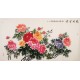 Peony - CNAG003962