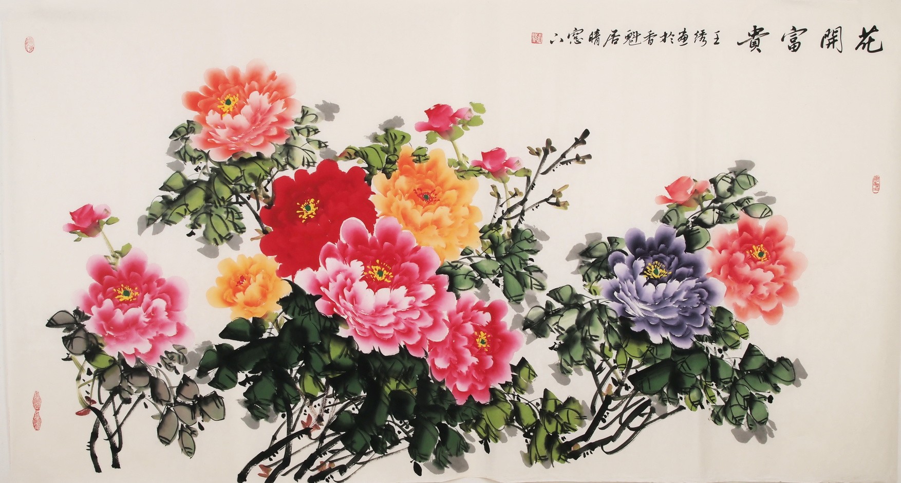 Peony - CNAG003962