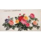 Peony - CNAG003963